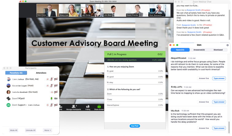 Virtual Customer Advisory Board Meeting Engagement